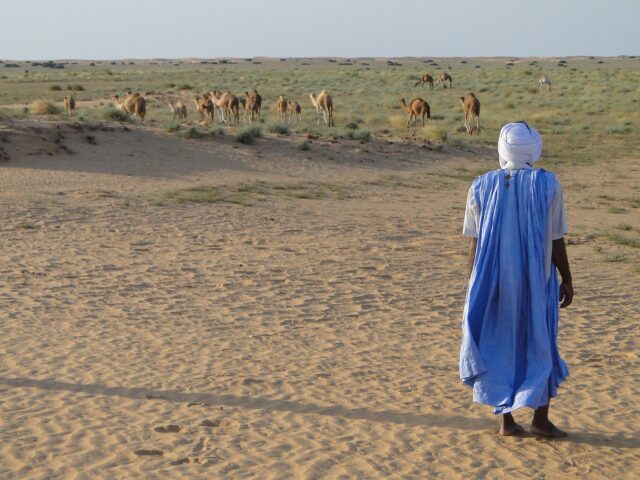 モーリタニア（Mauritania）